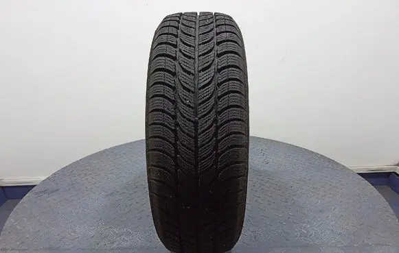 BMW X3 E83 R17 winter tire 4038526394910