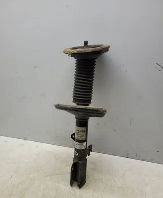 Toyota RAV 4 (XA20) Front shock absorber/damper 824903006288