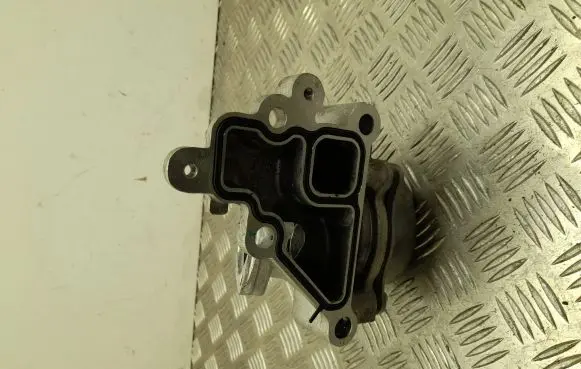 Nissan Juke II F16 Thermostat 110613903R