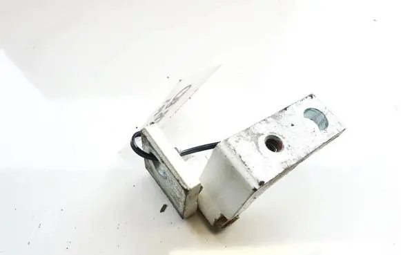 Fiat Punto (188) Rear door lower hinge