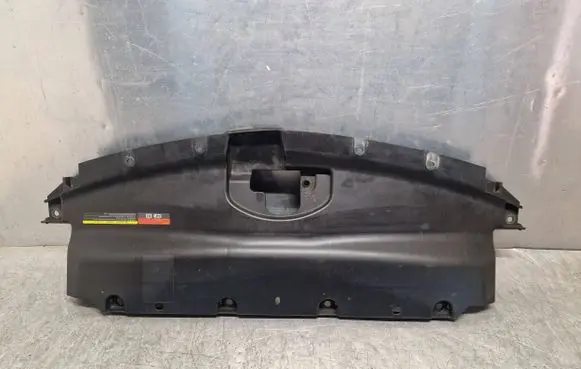 Infiniti EX Radiator trim F82000A98000