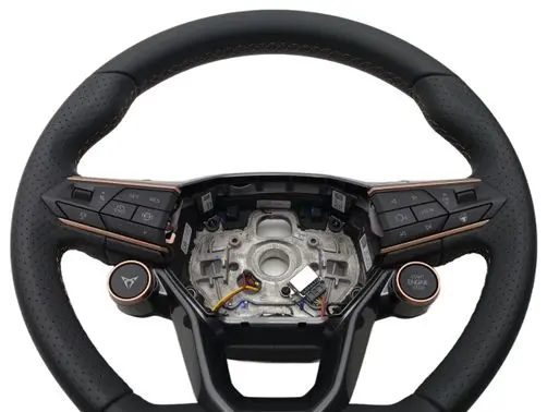 Audi Q3 F3 Steering wheel 5FF419091C