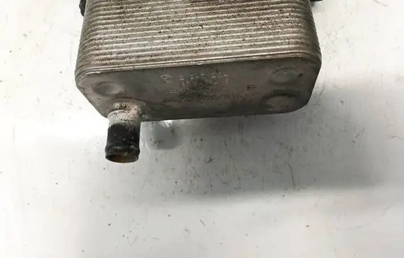 BMW 3 E46 Engine oil radiator 2247204 8792145