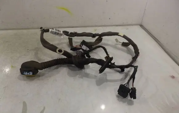 Renault Scenic III - Grand scenic III Front door wiring loom 241269596R