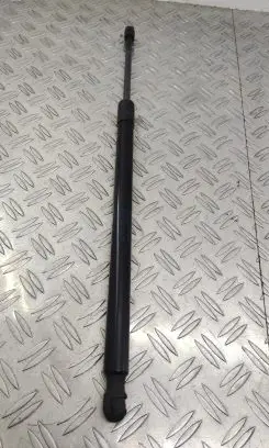 Tailgate/trunk strut/damper