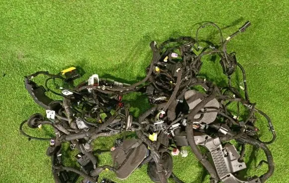 Chevrolet TrailBlazer Wiring harness 