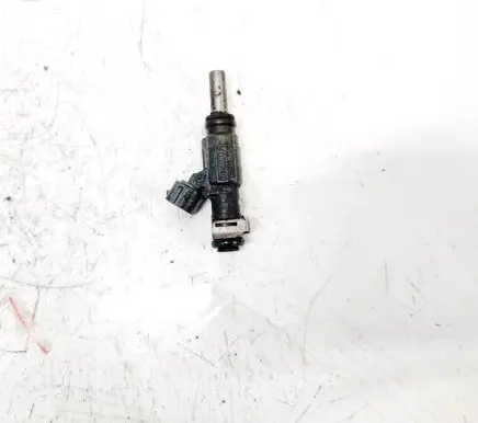 Porsche Cayenne (9PA) Fuel injector 022906031j 0280157012