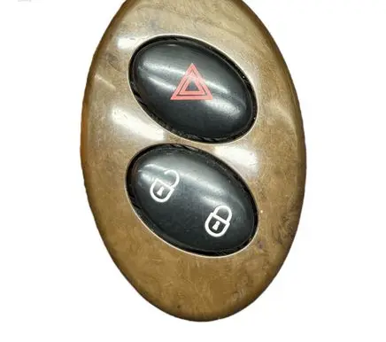 Central locking switch button