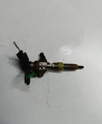 Citroen DS4 Fuel injector 9674973080 50274V05