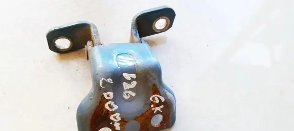 Rear door lower hinge