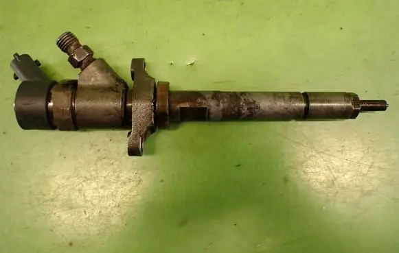 Citroen C4 I Fuel injector 0445110239