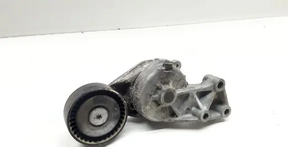 Seat Alhambra (Mk1) Generator/alternator belt tensioner 038903315F