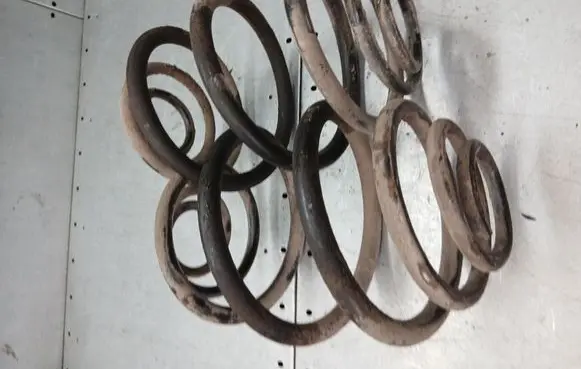 Rear coil spring