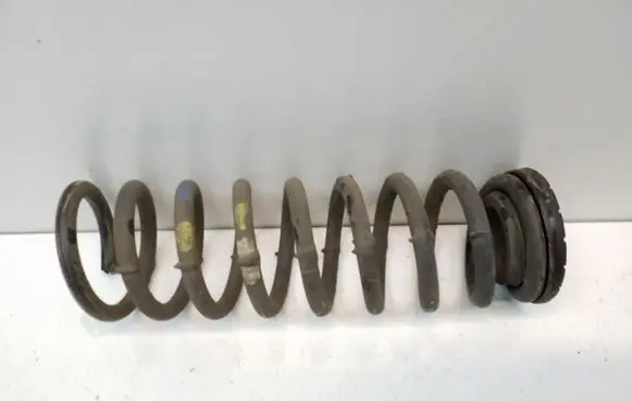 Rear coil spring
