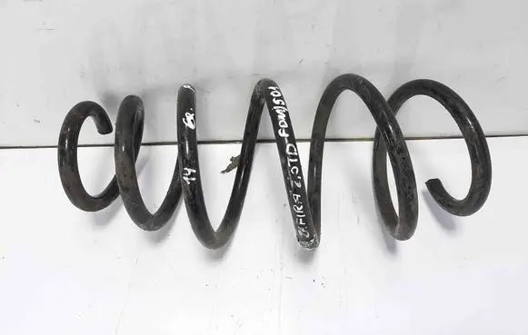 Front coil spring