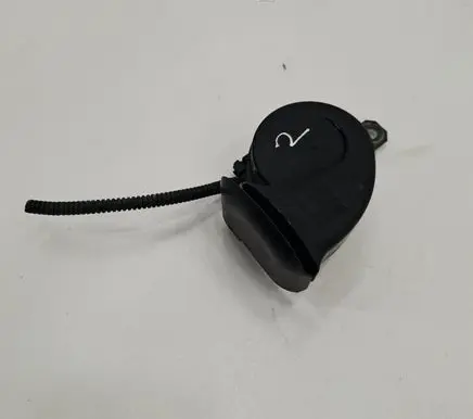 Horn signal