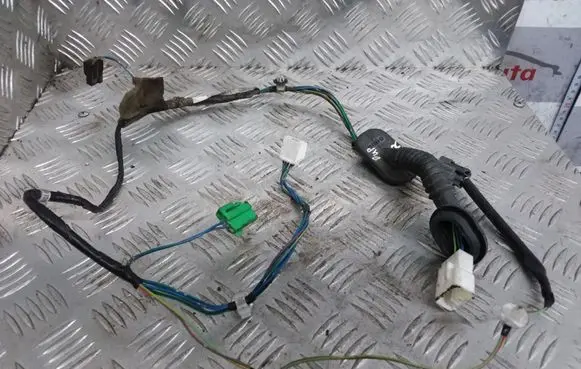 Rear door wiring loom