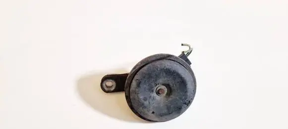 Horn signal