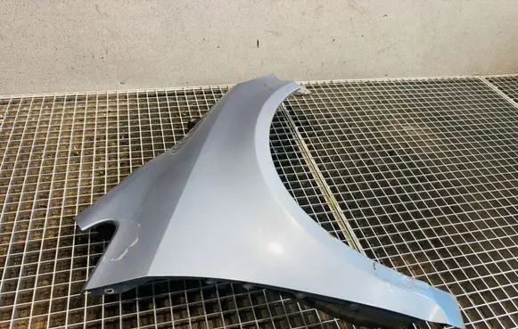 Volkswagen Golf Plus Fender