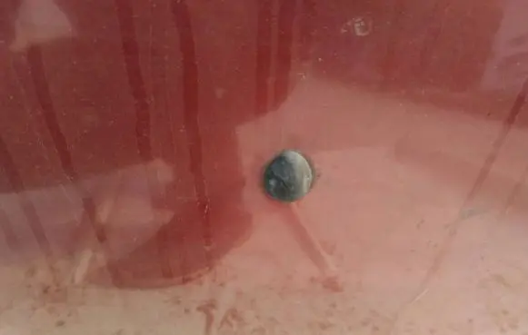 Windshield washer spray nozzle