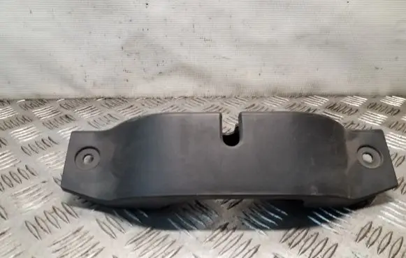 Engine bonnet/hood lock trim molding