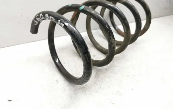 Rear coil spring