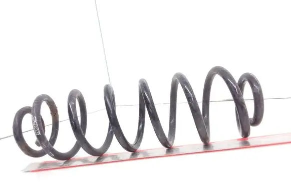 Skoda Roomster (5J) Rear coil spring