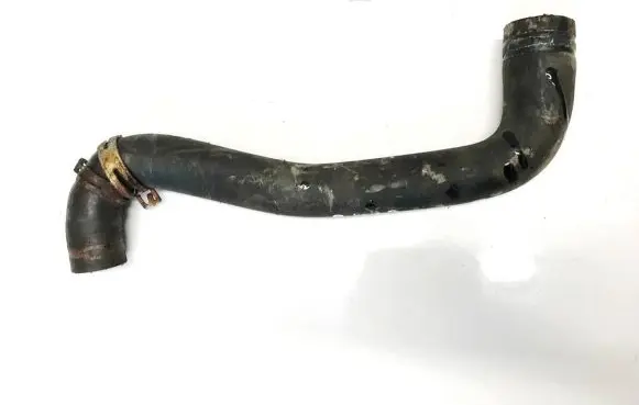 Citroen Berlingo Engine coolant pipe/hose