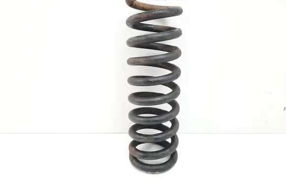 Rear coil spring