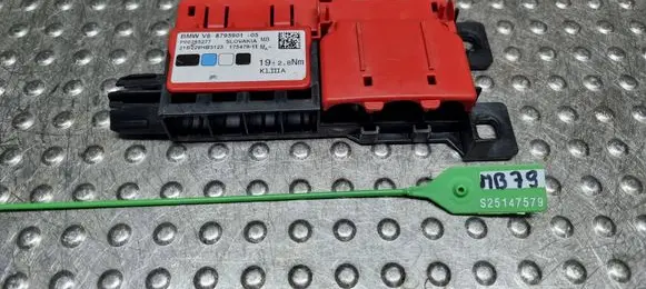 BMW 3 G20 G21 Positive wiring loom 879590