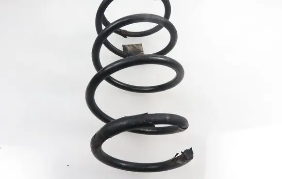 Renault Scenic I Front coil spring 