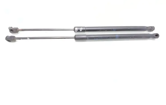 Opel Astra H Tailgate/trunk strut/damper 13220159