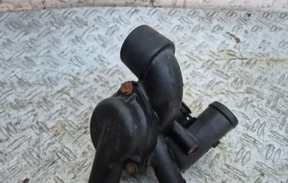 Thermostat/thermostat housing