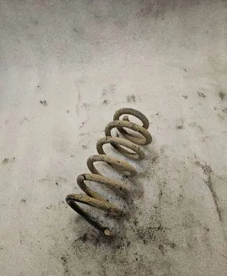 Audi A8 S8 D2 4D Rear coil spring