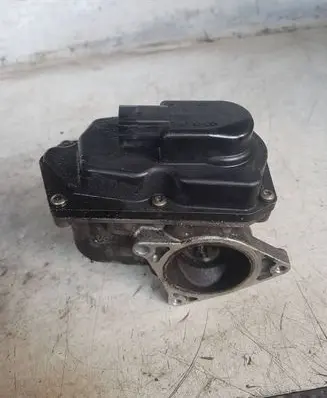 Volkswagen PASSAT CC EGR valve 06260040