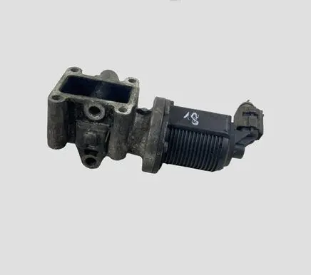 Opel Vectra C EGR valve 55215031