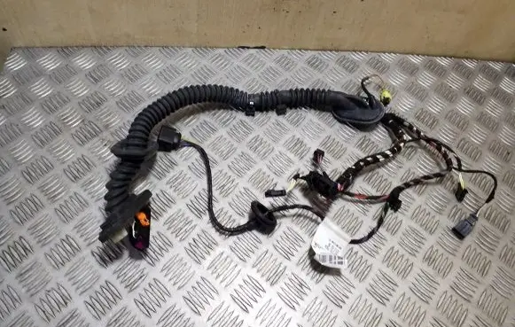 Porsche Cayenne (92A) Front door wiring loom 7P5971161BL