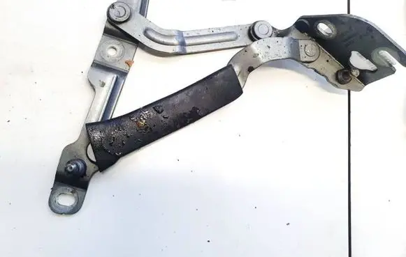 Tailgate/trunk/boot hinge