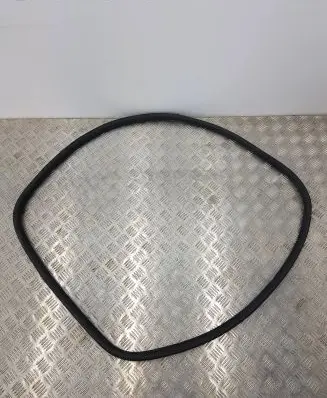 Citroen C3 Rubber seal rear door 9813059680