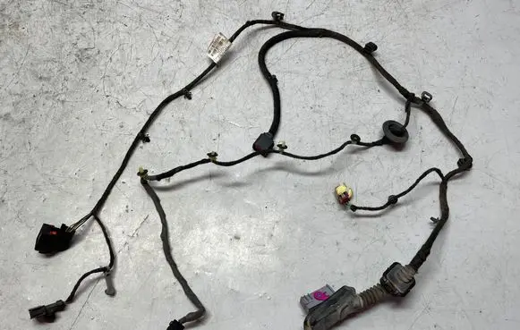Rear door wiring loom