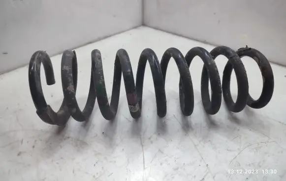 Rear coil spring
