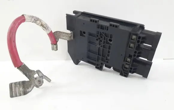 Renault Scenic III - Grand scenic III Positive wiring loom 243800011R