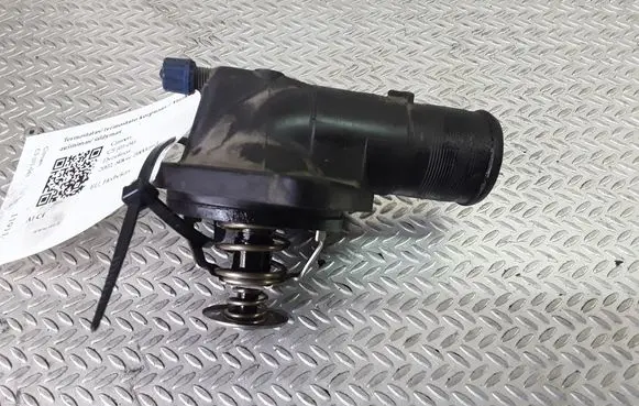 Thermostat/thermostat housing