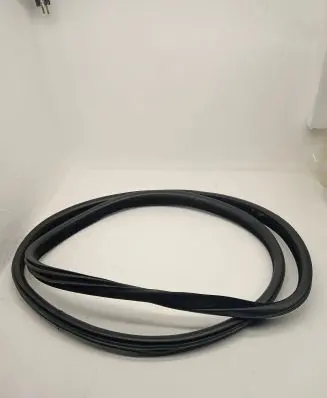 BMW X6 F16 Rear door rubber seal (on body) 7317822