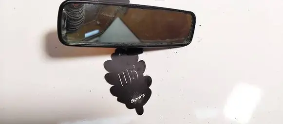 Rear view mirror (interior)