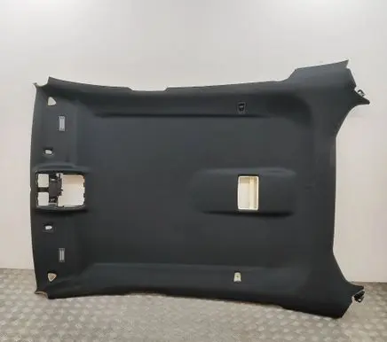 BMW X6 E71 Headlining 7313332