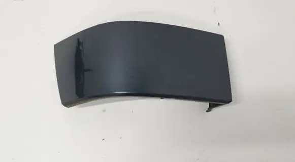 Rear/tail light trim molding