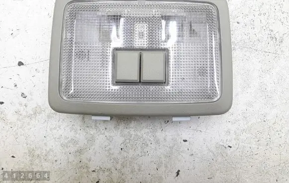 Opel Antara Headlining lighting console trim 