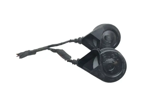 Horn signal
