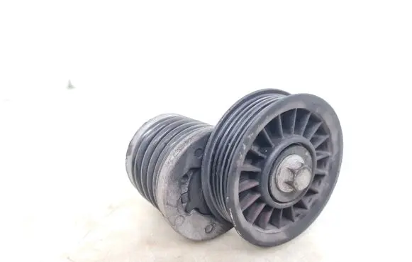 Volkswagen PASSAT B5 Alternator belt tensioner TB25T
